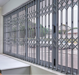 Grille de sécurité rétractable Trellidor